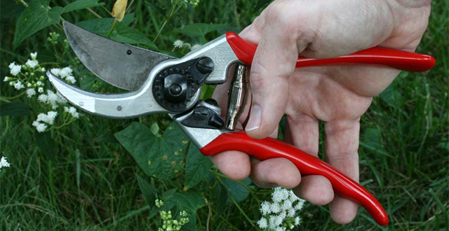 Овощарски и лозарски ножици - безценен помощник за всяка градина